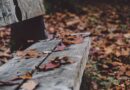 bench-1031353_1920